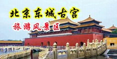 黑人操B中国北京-东城古宫旅游风景区